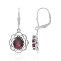 Rhodolite Silver Earrings