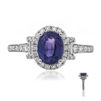 14K Purple Sapphire Gold Ring (CIRARI)
