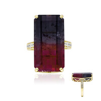 14K Bi Colour Tourmaline Gold Ring (AMAYANI)