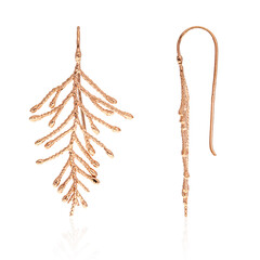Silver Earrings (Joias do Paraíso)