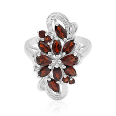 Mozambique Garnet Silver Ring
