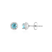 Blue Apatite Silver Earrings