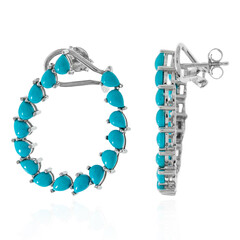 Sleeping Beauty Turquoise Silver Earrings