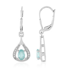 Grandidierite Silver Earrings