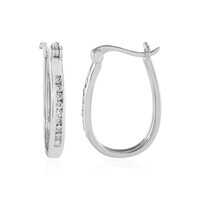 Zircon Silver Earrings