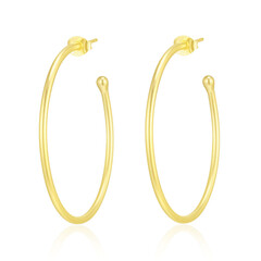 Silver Earrings (Maigold Kreativ)