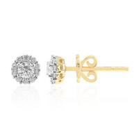 14K VVS1 (G) Diamond Gold Earrings