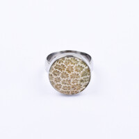 Petrified Coral Silver Ring