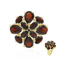 Garnet Silver Ring