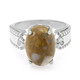 Dinosaur Bone Silver Ring