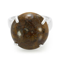 Dinosaur Bone Silver Ring