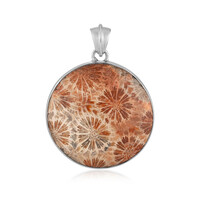 Petrified Coral Silver Pendant (Bali Barong)