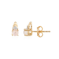Rainbow Moonstone Silver Earrings