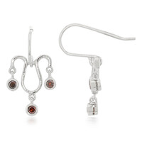 Fancy Diamond Silver Earrings