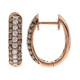 10K SI2 Brown Diamond Gold Earrings