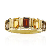 Mozambique Garnet Silver Ring