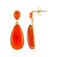 Carnelian Silver Earrings