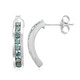 Fancy Diamond Silver Earrings