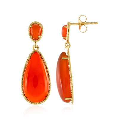 Carnelian Silver Earrings