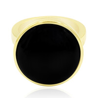 Onyx Silver Ring