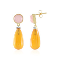 Carnelian Silver Earrings