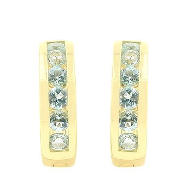 9K Nigerian Paraiba Tourmaline Gold Earrings