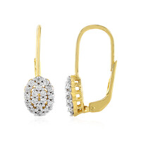 Zircon Silver Earrings