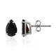 Garnet Silver Earrings