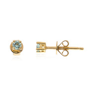 18K Paraiba Tourmaline Gold Earrings