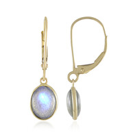 9K Blue Maniry Labradorite Gold Earrings