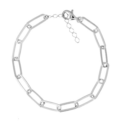 Silver Bracelet (Joias do Paraíso)