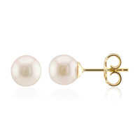 Akoya Pearl Silver Earrings (TPC)