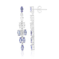 Tanzanite Silver Earrings