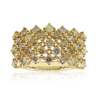 14K SI2 Fancy Diamond Gold Ring (CIRARI)