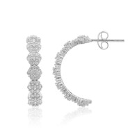 Zircon Silver Earrings