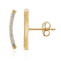 Zircon Silver Earrings