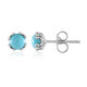 Sleeping Beauty Turquoise Silver Earrings (Faszination Türkis)