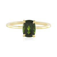 Russian Diopside Silver Ring