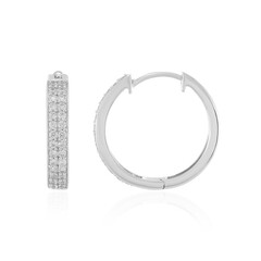 Zircon Silver Earrings