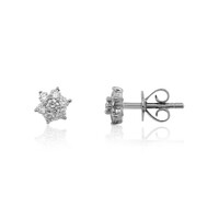 Flawless (F) Diamond Platinium Earrings (LUCENT DIAMONDS)