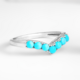 Sleeping Beauty Turquoise Silver Ring (Faszination Türkis)