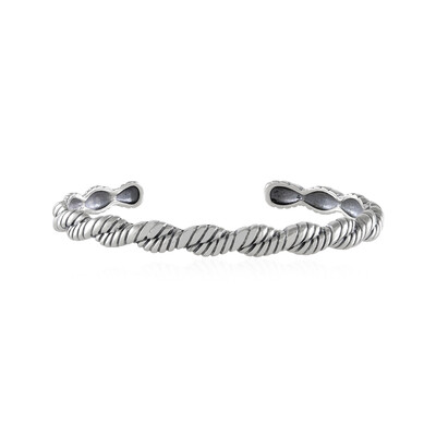 Silver Bangle (Desert Chic)