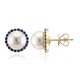 9K White South Sea Pearl Gold Earrings (Michelle Albala)