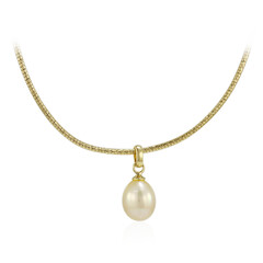 Kabira Golden South Sea Pearl Silver Necklace (TPC)