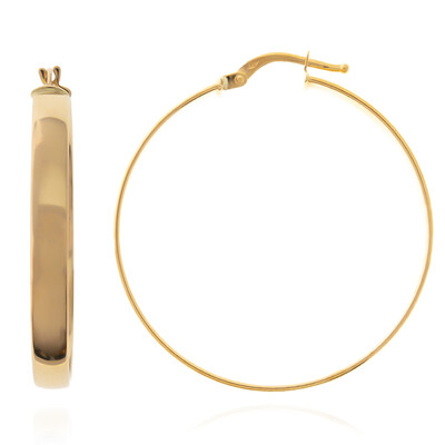 9K Gold Earrings