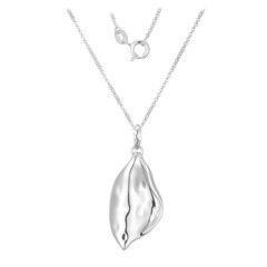 Silver Chain