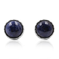 Sodalite Silver Earrings