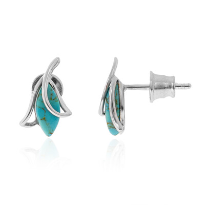 Turquoise Silver Earrings (dagen)