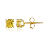 Yellow Beryl Silver Earrings