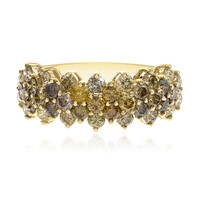 14K SI2 Fancy Diamond Gold Ring (CIRARI)